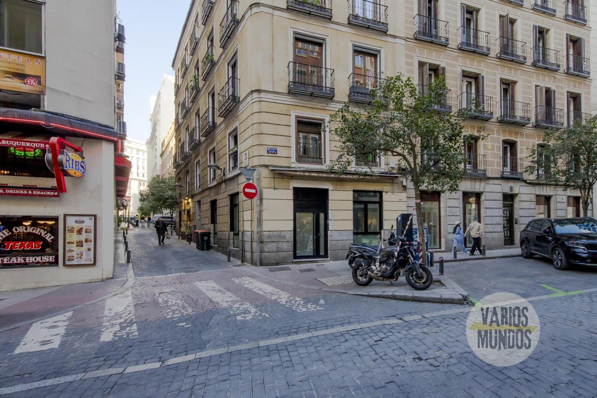 Deluxe Apt En El Centro De Madrid Para 9Pax E3 Exterior photo